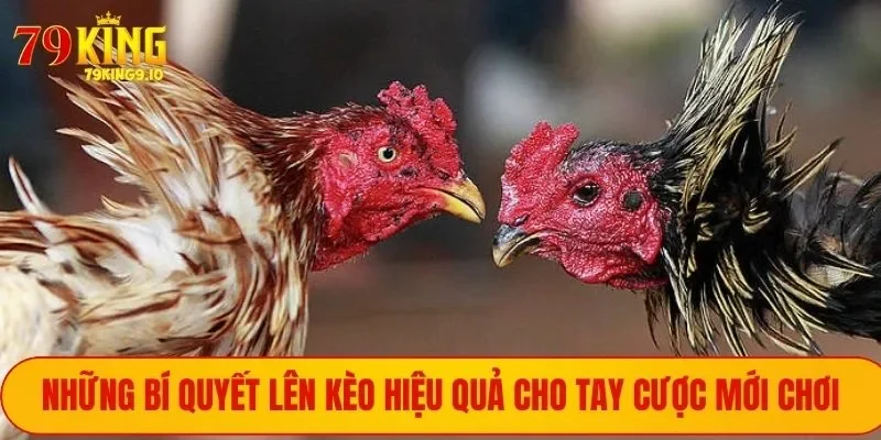 Bí quyết lên kèo hiệu quả
