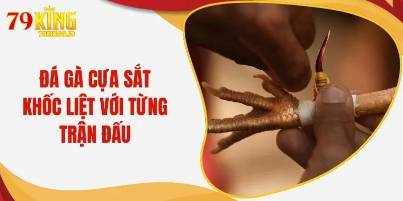 Đá Gà Cựa Sắt - Bùng Nổ Cháy Bỏng Trong Từng Ván Đấu Chọi Gà