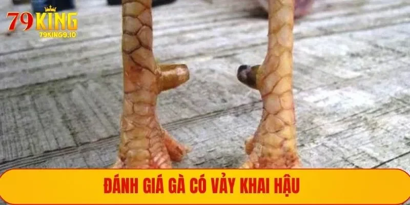 Chia sẻ kinh nghiệm nuôi dạy gà có vảy tam tài