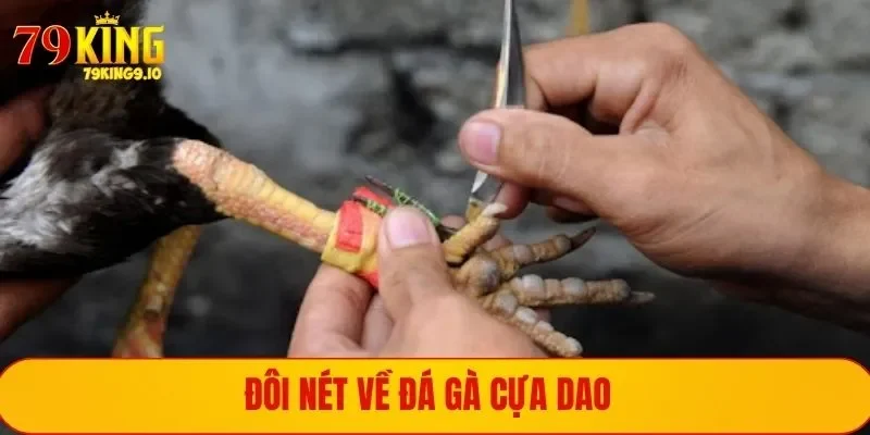 Đá Gà Cựa Dao - Đỉnh Cao Những Trận Chiến Chuyên Nghiệp 1 Giới thiệu đá gà với cựa dao