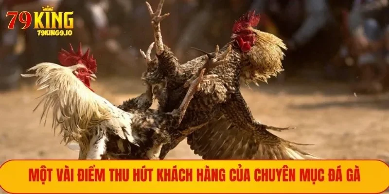 Những điểm thu hút khách hàng