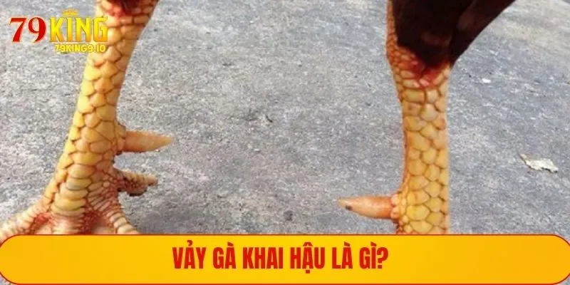 Vảy tam tài là gì?