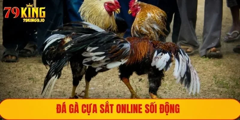 Đá Gà Cựa Sắt - Bùng Nổ Cháy Bỏng Trong Từng Ván Đấu Gà 3 Xem đá gà bằng cựa sắt online sôi động, tiện lợi